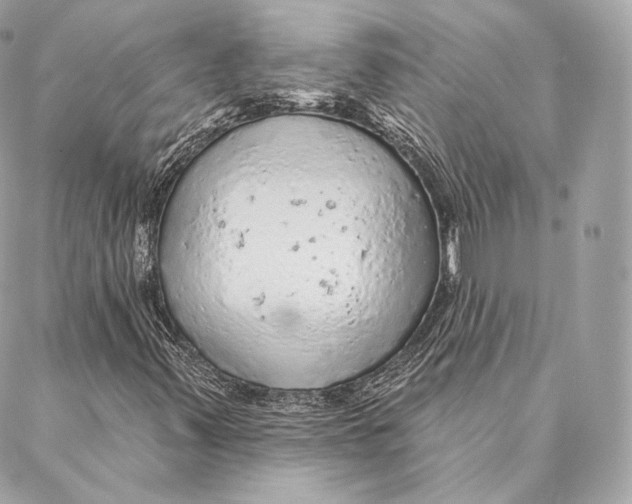 X0000087381347200705111725