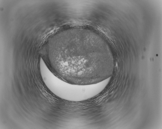 X0000087381348200705111725