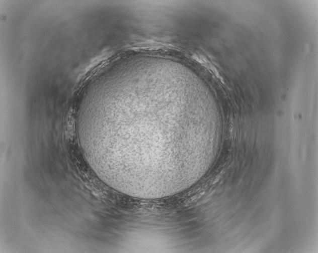 X0000087381350200705111725