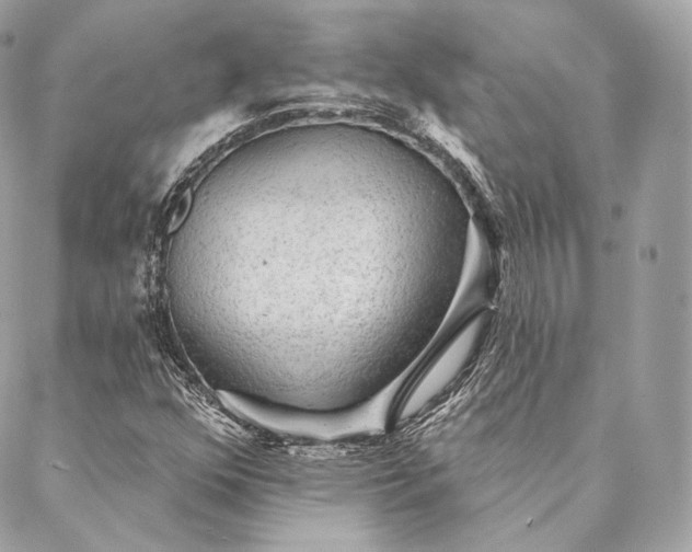 X0000087381352200705111725