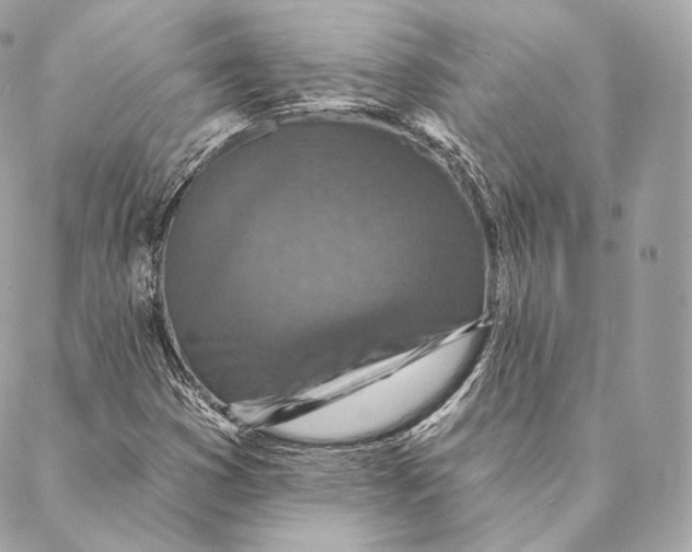 X0000087381353200705111725