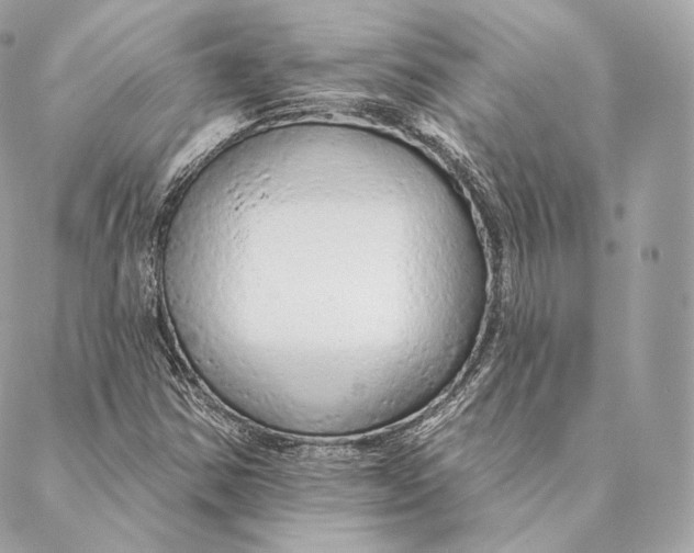 X0000087381354200705111725