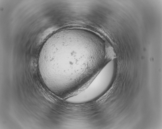 X0000087381355200705111725