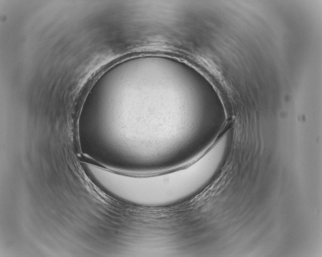 X0000087381356200705111725