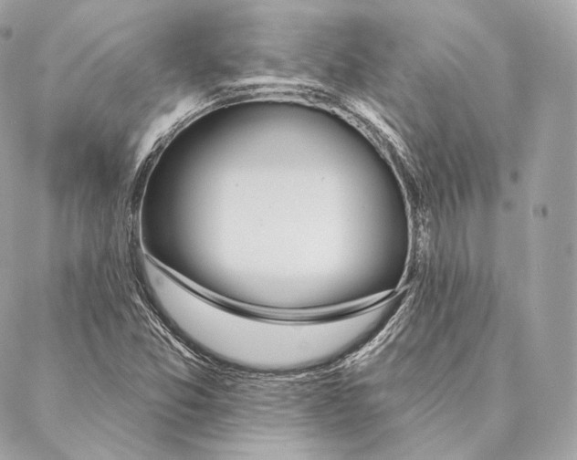 X0000087381357200705111725