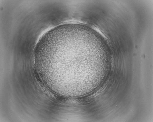 X0000087381358200705111725