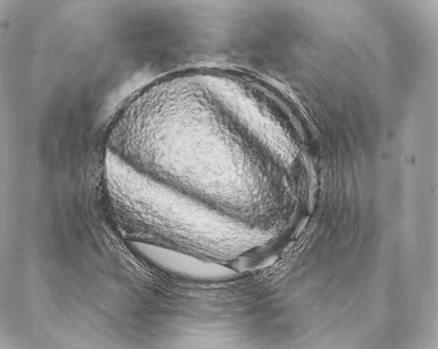 X0000087381359200705111725