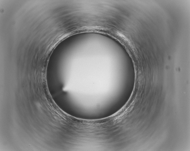 X0000087381361200705111725