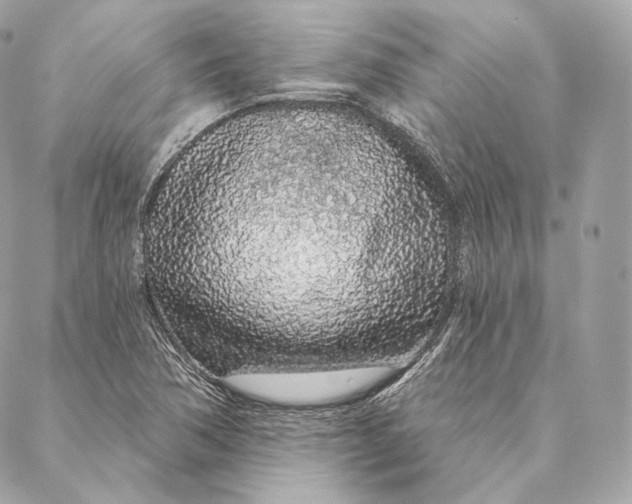 X0000087381362200705111725