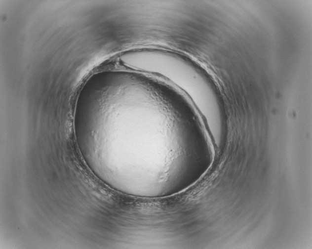 X0000087381363200705111725