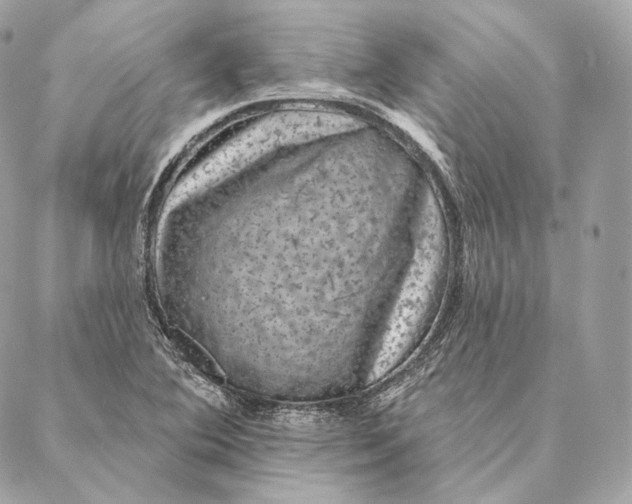 X0000087381364200705111725