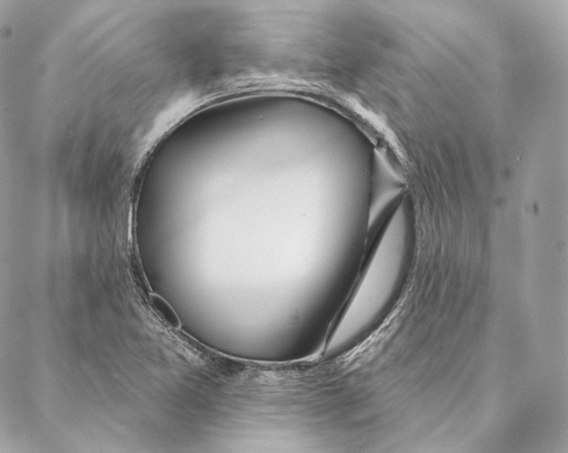 X0000087381365200705111725