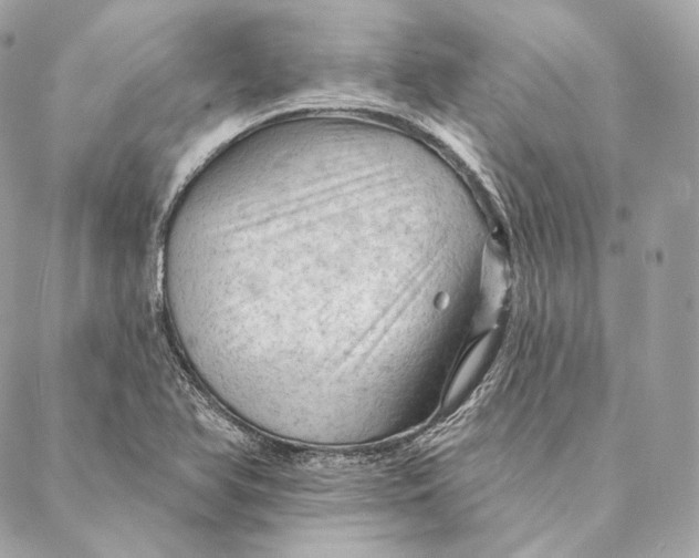 X0000087381366200705111725