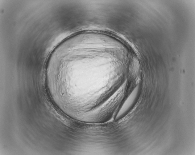 X0000087381367200705111725