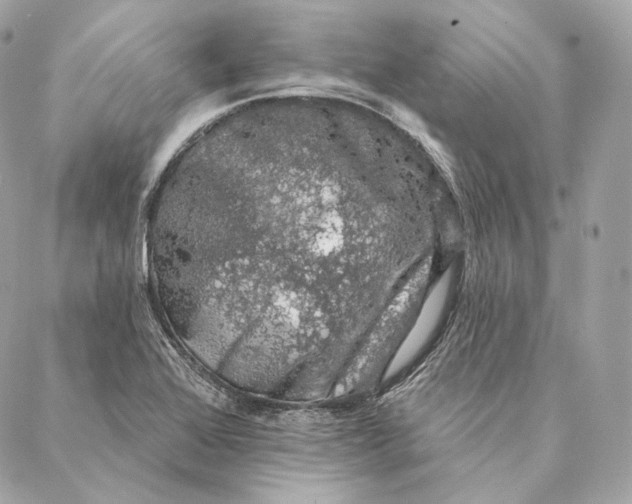 X0000087381368200705111725