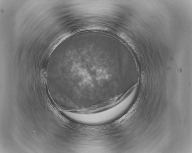 X0000087381369200705111725