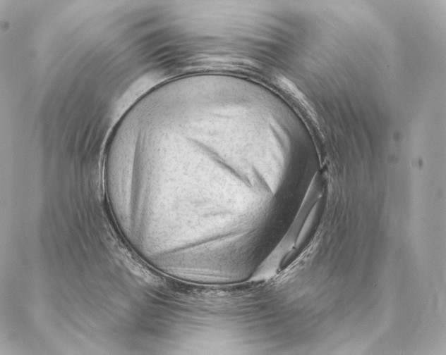 X0000087381370200705111725