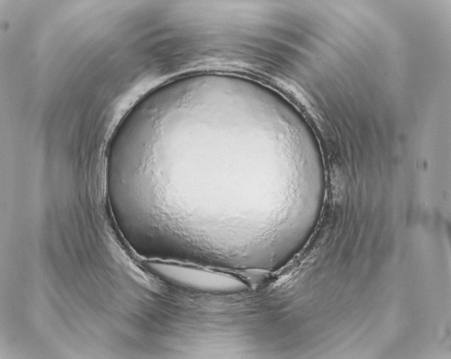 X0000087381371200705111725