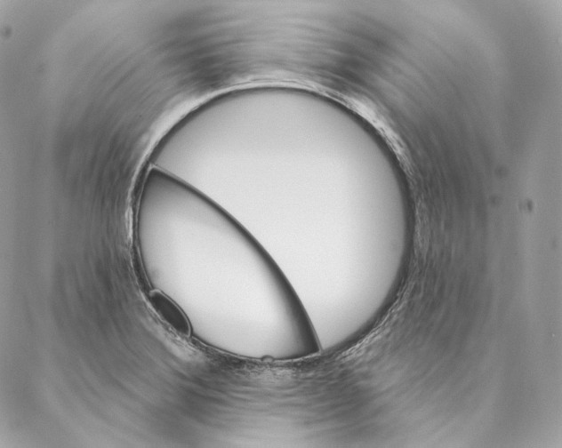 X0000087381372200705111725