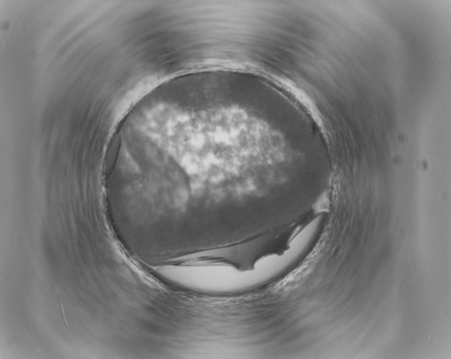 X0000087381373200705111725