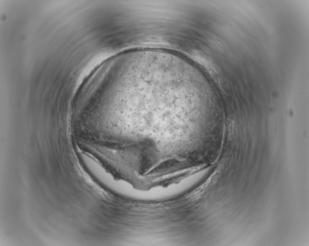 X0000087381374200705111725