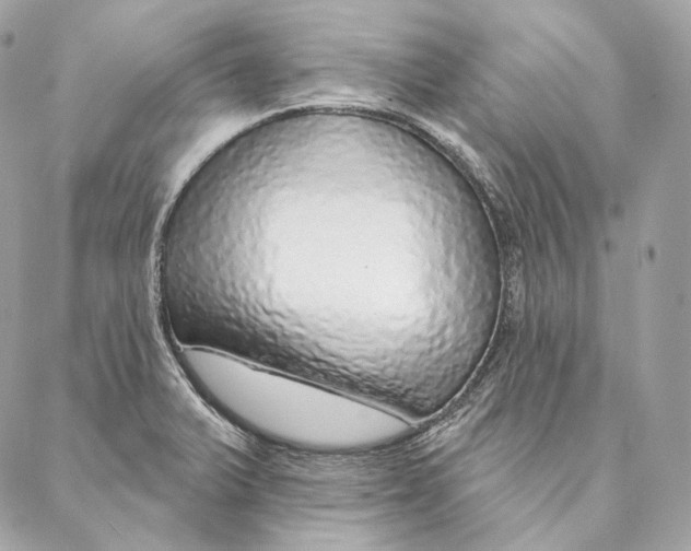 X0000087381375200705111725