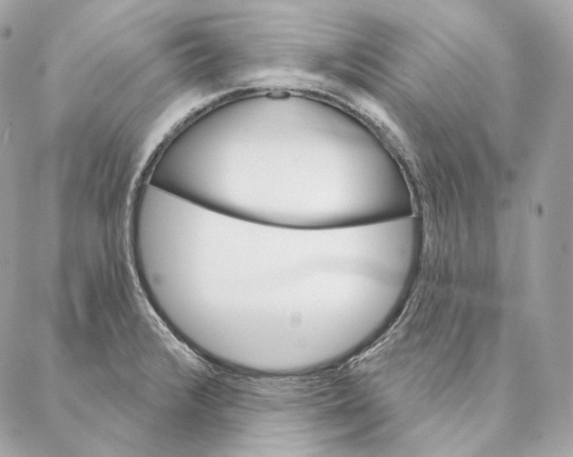 X0000087381376200705111725