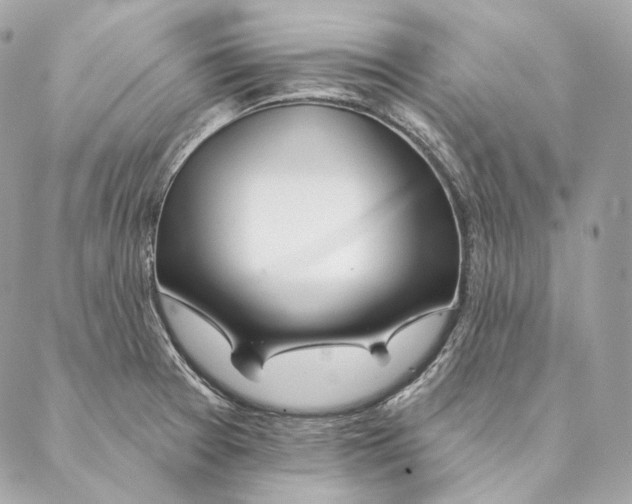 X0000087381377200705111725