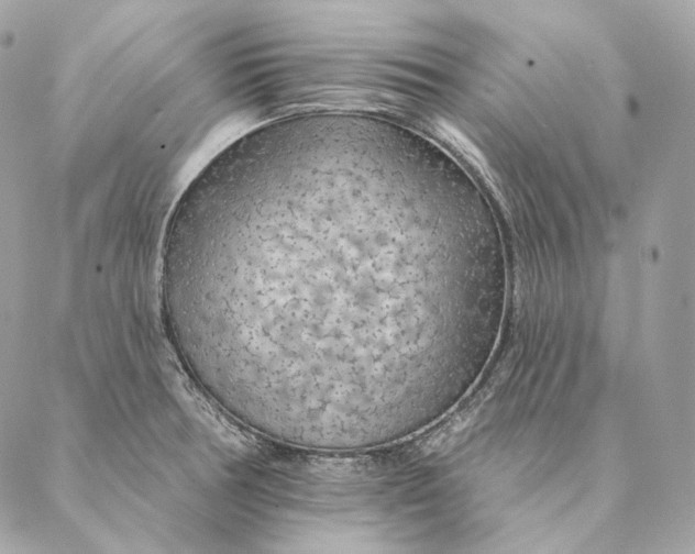 X0000087381378200705111725