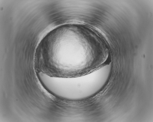 X0000087381379200705111724