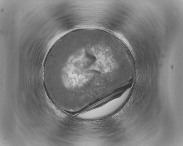 X0000087381380200705111724