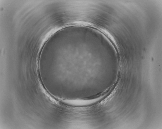 X0000087381381200705111724