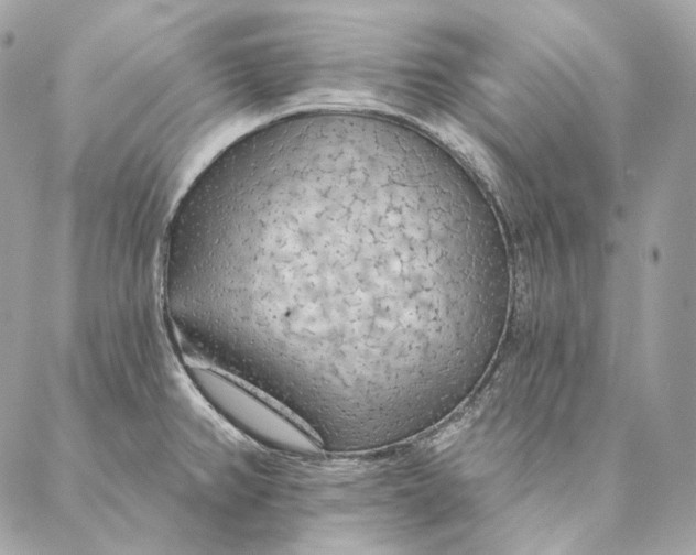 X0000087381382200705111724