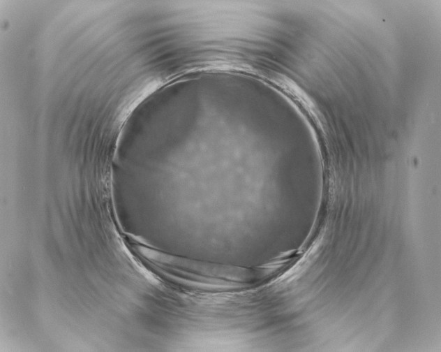 X0000087381385200705111724