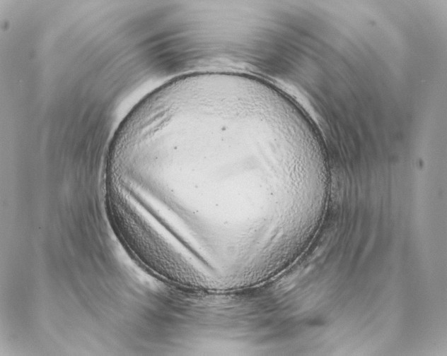 X0000087381387200705111724