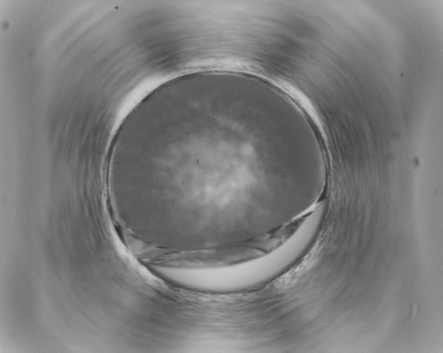 X0000087381389200705111724