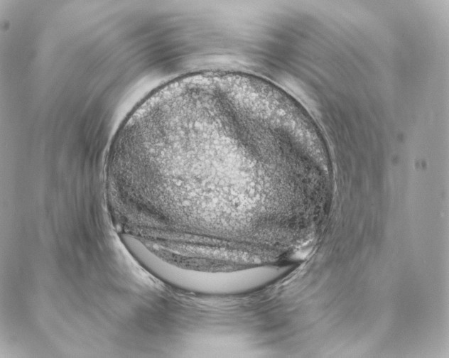 X0000087381392200705111724