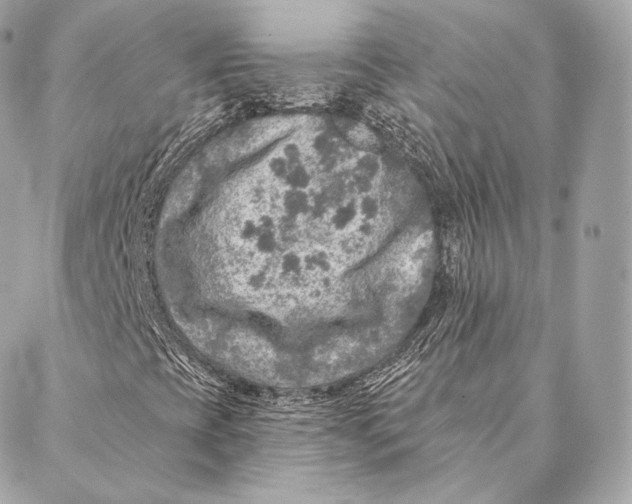 X0000087381393200705111723