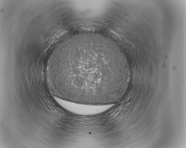 X0000087381394200705111724