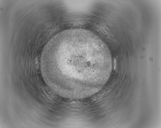 X0000087381395200705111724