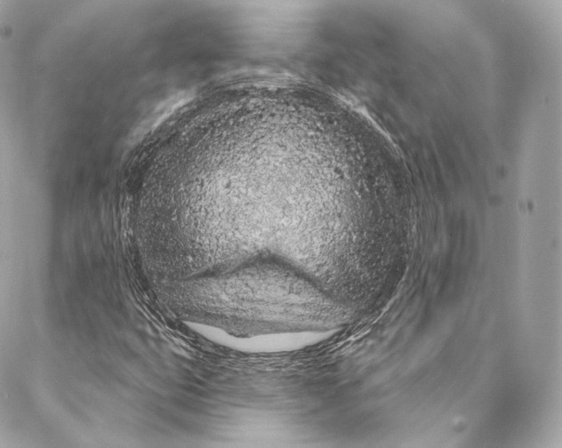 X0000087381399200705111724