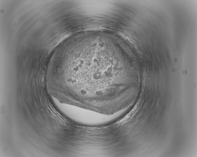 X0000087381401200705111724