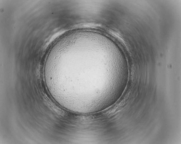 X0000087381404200705111724