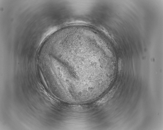 X0000087381405200705111724