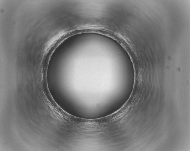 X0000087381406200705111724