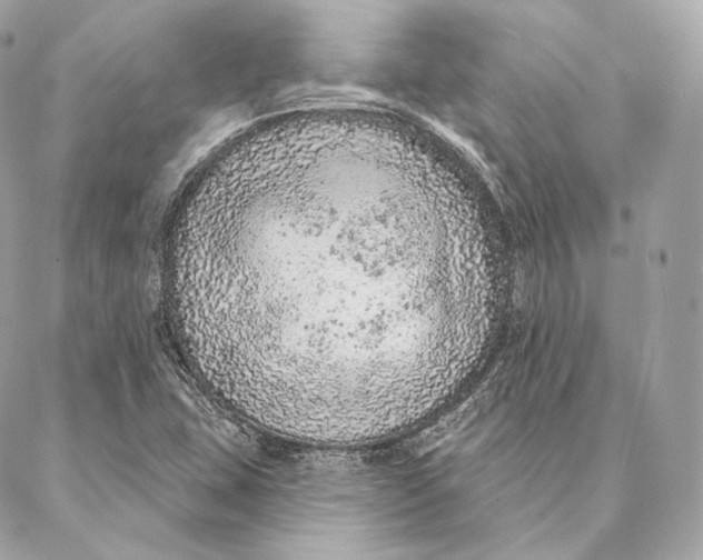 X0000087381407200705111724