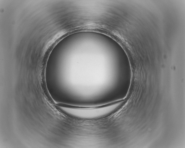 X0000087381410200705111724