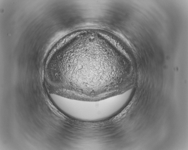 X0000087381413200705111724