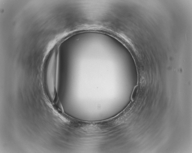 X0000087381414200705111724