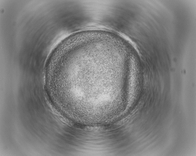 X0000087381415200705111724